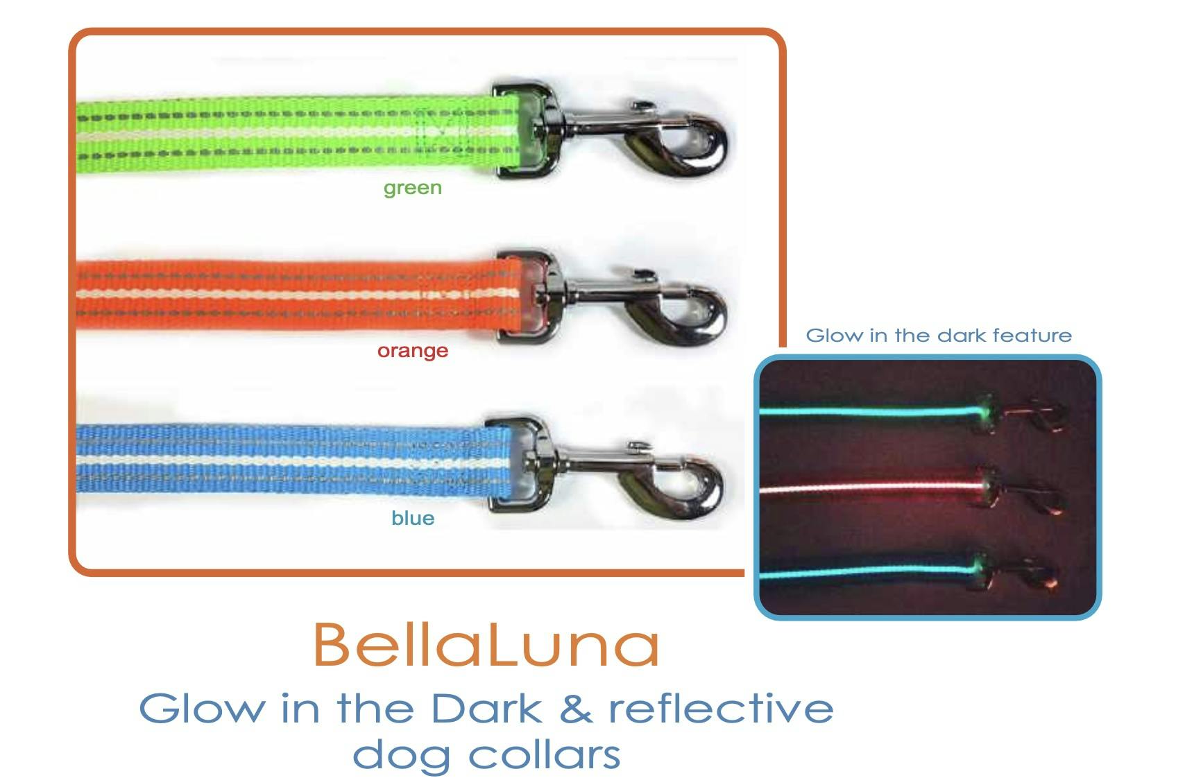 Dog Leash - BellaLuna Glow in the Dark Reflective