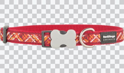 Limited Stock, Discontinued Products - Dog Collar