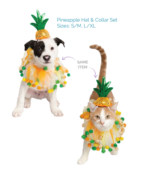 Pineapple Hat & Collar Set