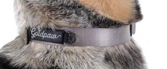 Side Release Collar - Image 0