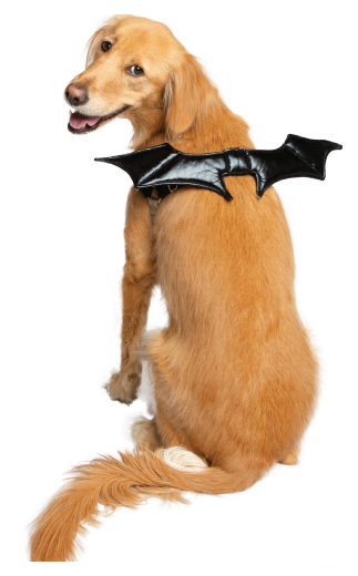 Dog Bat Wing Harness Attachment - Image 0