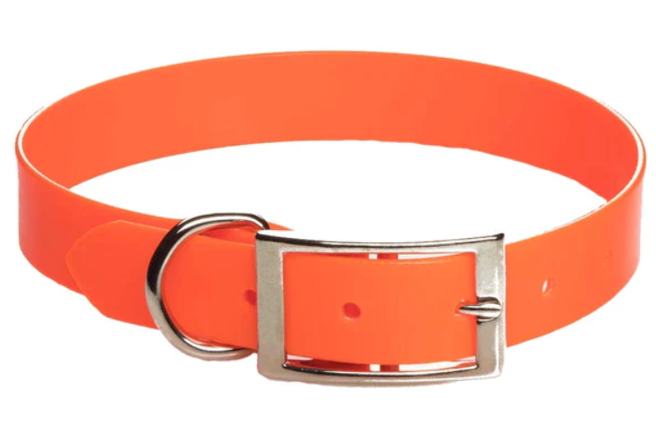 Day Bright Collar (Synthetic) - Image 0