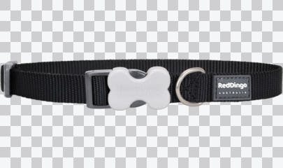 Buckle Bone Dog Collars - Classic (Solid) - Image 0