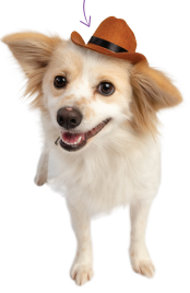 Cowboy Hat - Image 0