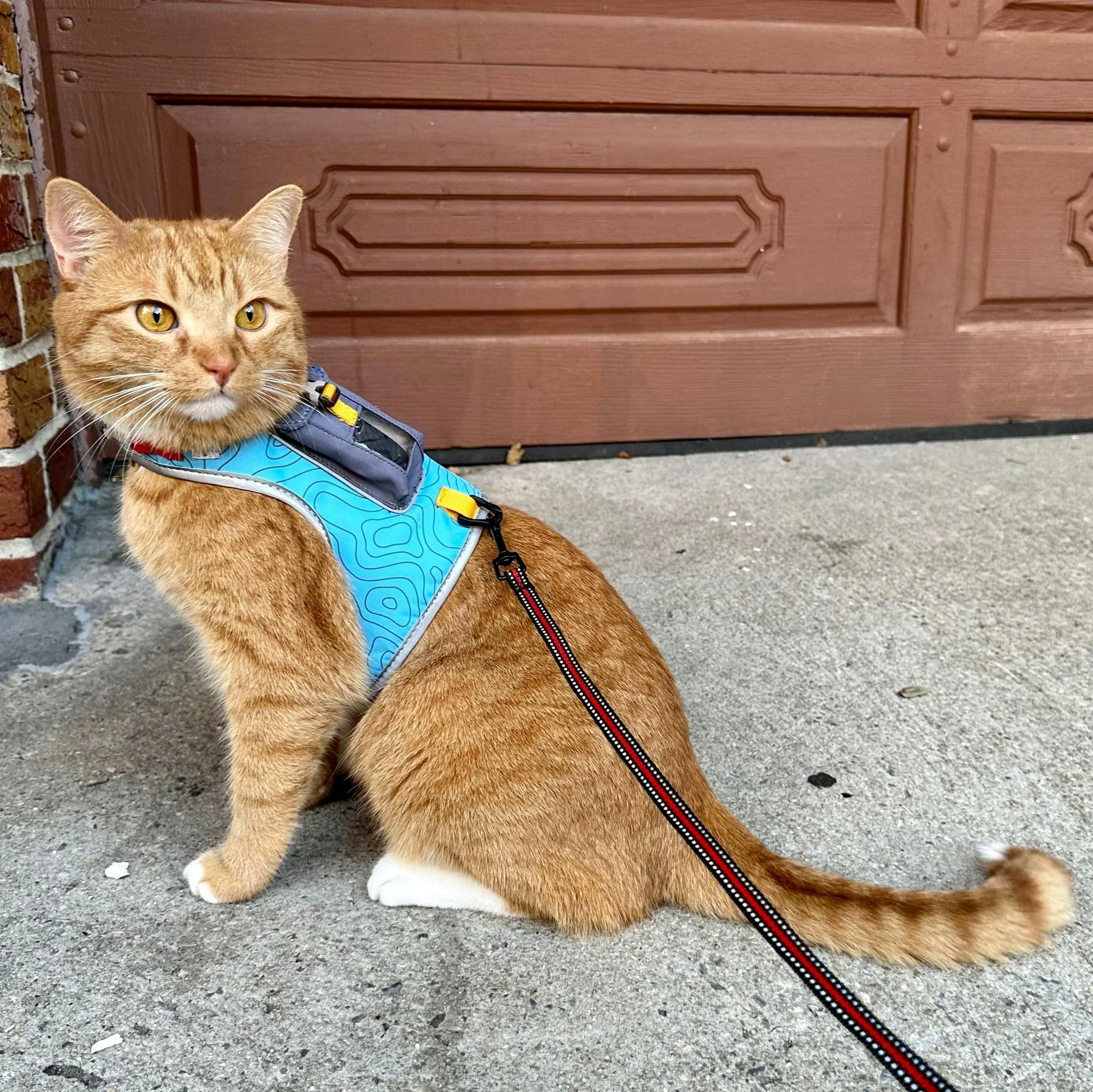 The Pathfinder Cat Harness with GPS Pocket and Leash - Image 2