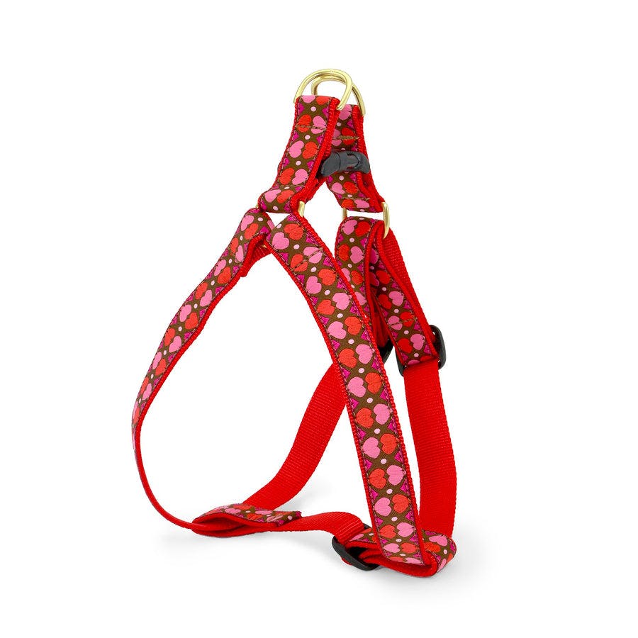ALL HEARTS HARNESS - Image 0