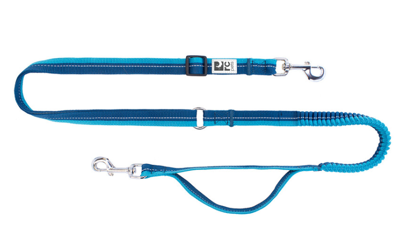 Bungee Active Leash - Image 1