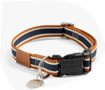 Shinola Pet Leather / Nylon Collar