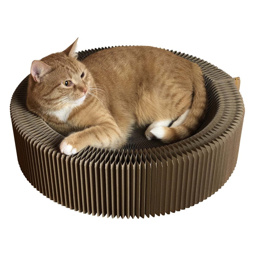 "The Accordion" Travel Cardboard Bed & Scratcher - Image 0