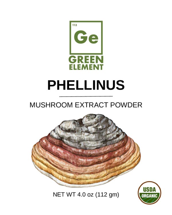 Phellinus Mushroom Extract Powder- USDA Organic- 4oz - Image 0