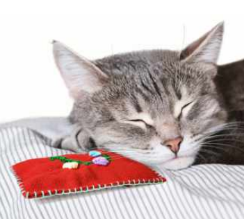 Cat Toys - Nip-naps Kitti Bag