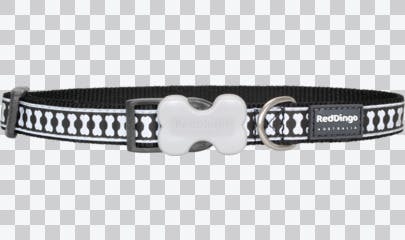 Buckle Bone Dog Collars - Reflective - Image 0