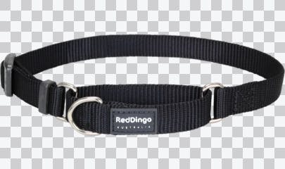Martingale Dog Collars - Classic (Solid)