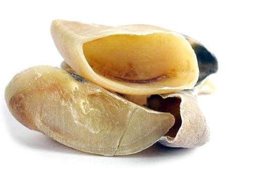 Cow Hooves - Image 0