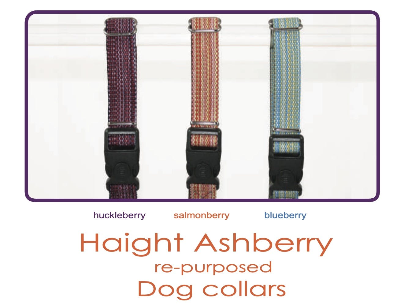 Dog Collar - Haight Ashberry Repurposed