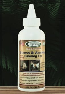 Stress & Anxiety Calming Tea - Image 0