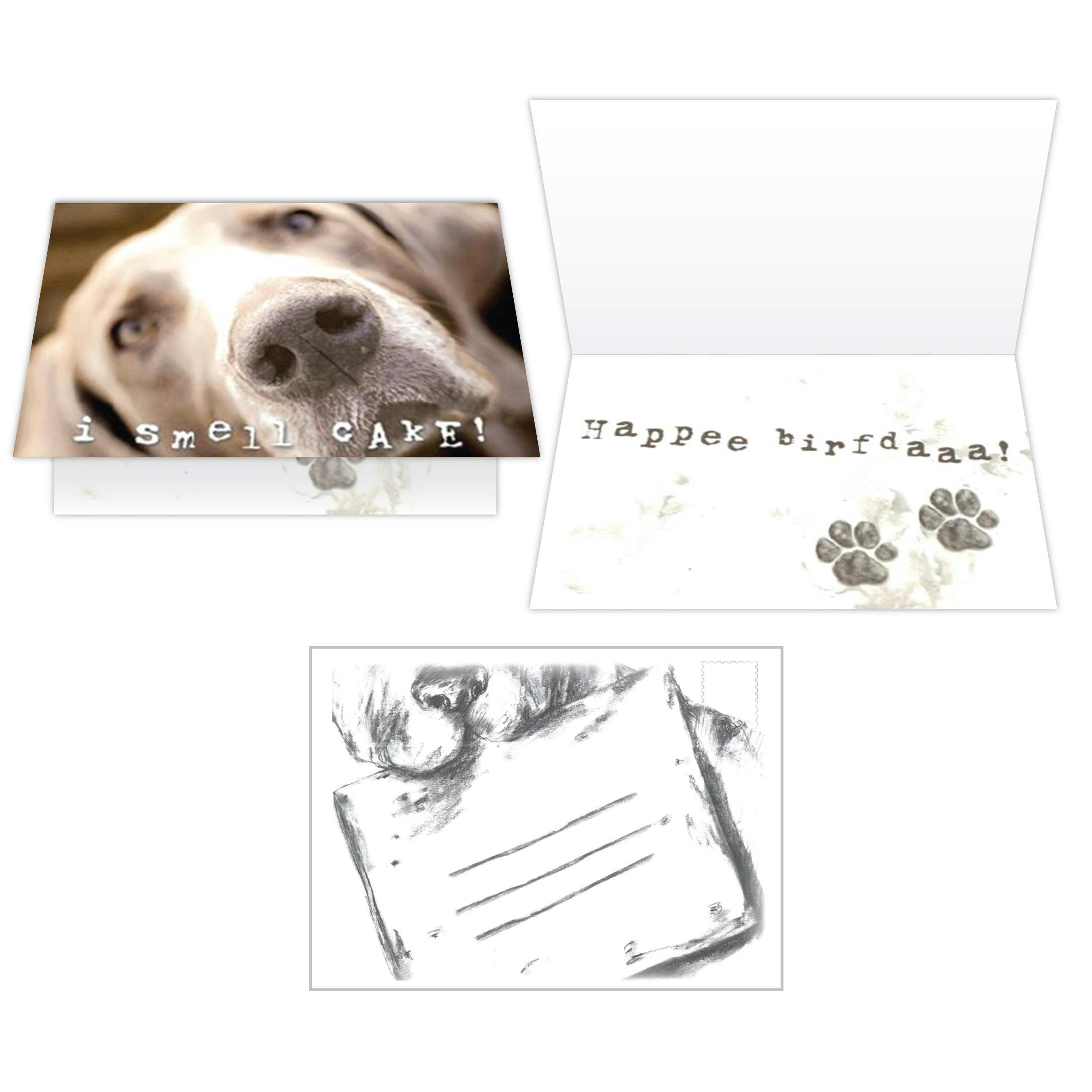 Birthday Cards (Pack of 6) - Image 0