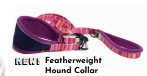 Featherweight Houndcollar