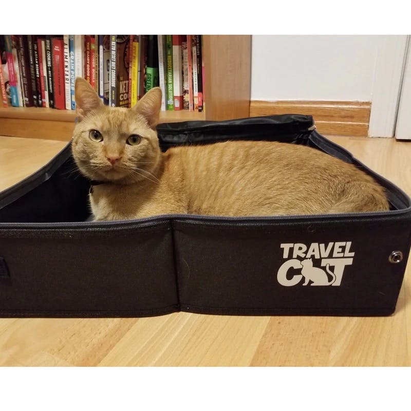 "The Porta-Pawty" Travel Litter Box - Portable Bathroom for Cats - Image 1