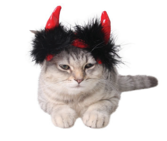 Devil Cat Hat