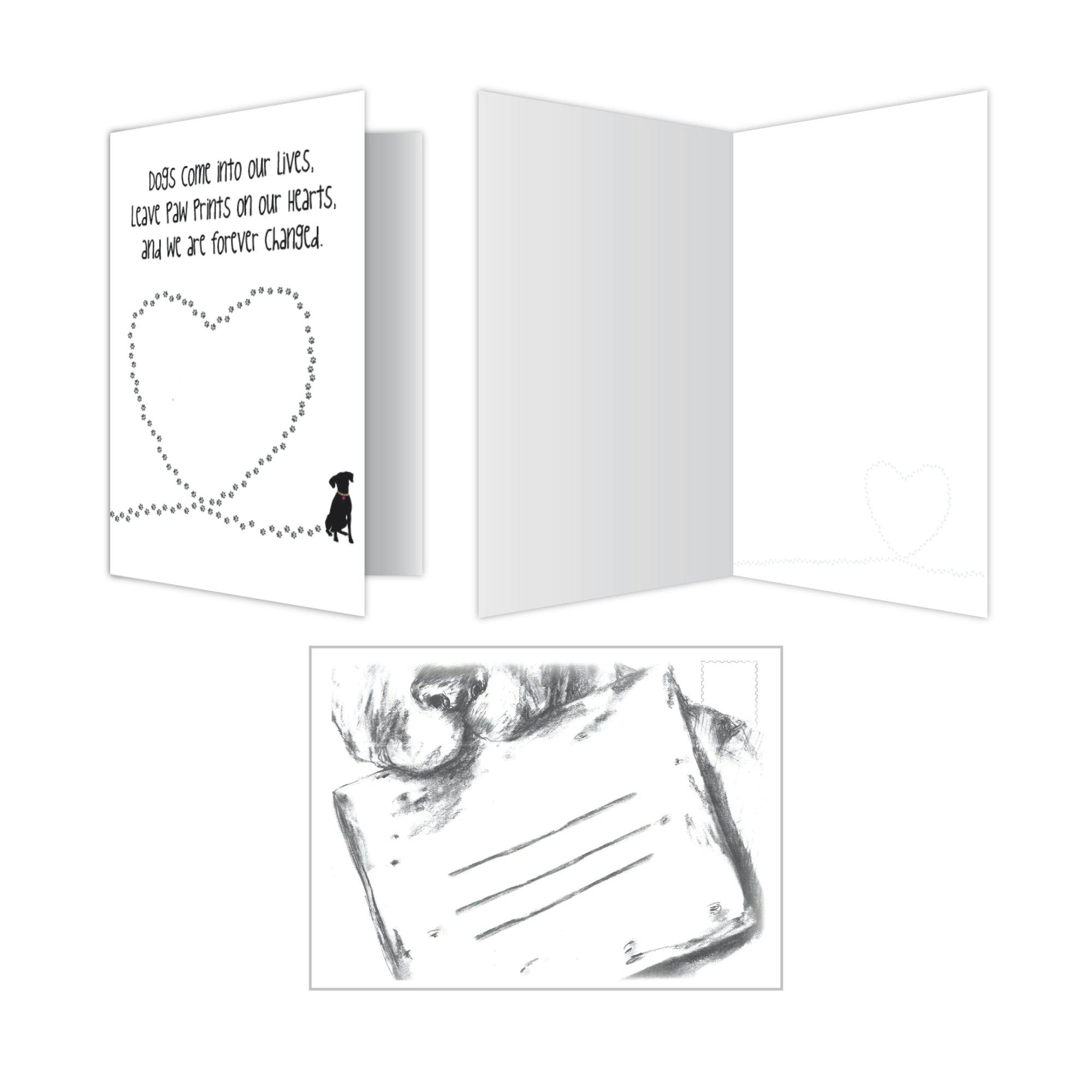 Blank Cards (Pack of 6) - Image 0