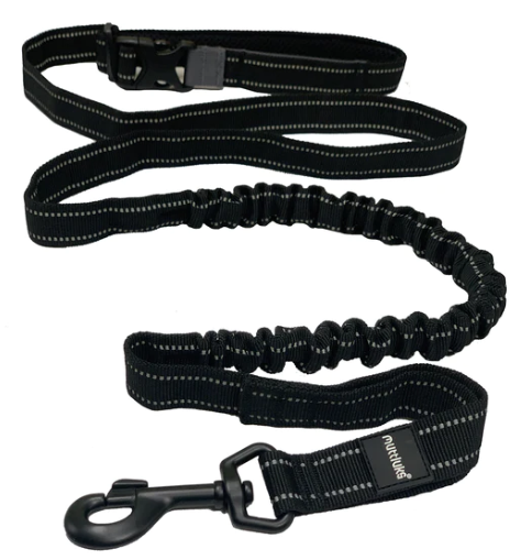 MUTTRAVEL - 2-IN-1 HANDS FREE BUNGEE LEASH