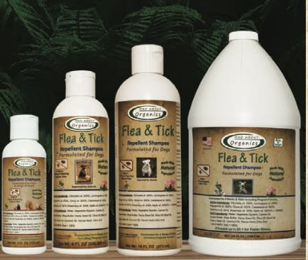 Flea & Tick Repellent Shampoo