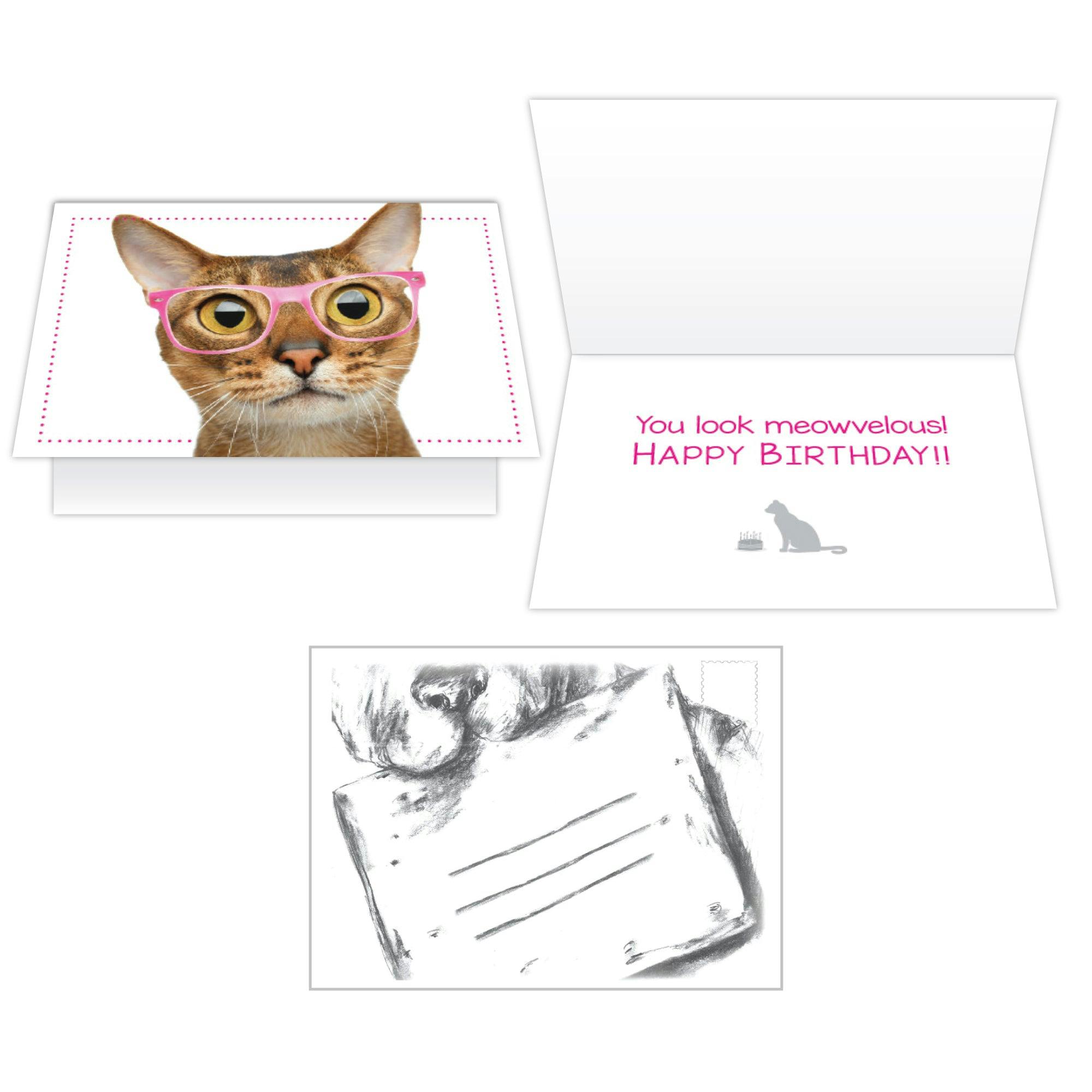 Cat Birthday Cards (Pack of 6) - Image 0